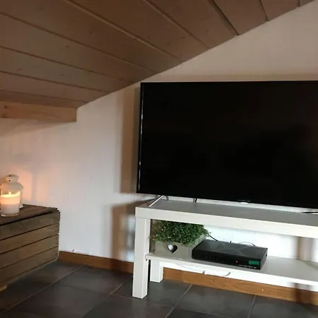 Alpendohle オーバーマイゼルシュタイン